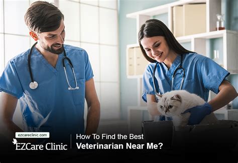 TOP 10 BEST Veterinarians near Waynesboro, TN 38485